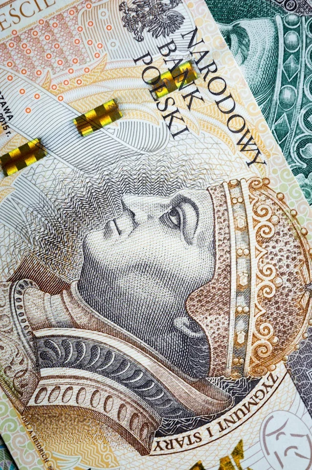 Условия получения займа ООО в МФО: что нужно знать перед подачей заявки